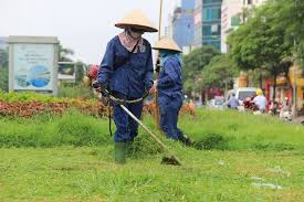 Dịch vụ cắt cỏ, phát hoang công trình giá rẻ tại Phú Mỹ Bà Rịa – Vũng Tàu 0963.420.024 – 0967.420.024